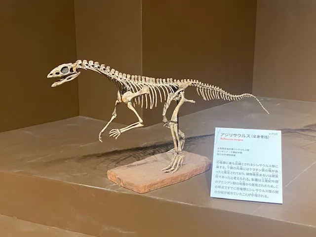大絶滅展！！