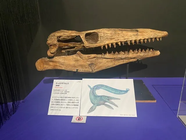 大絶滅展！！